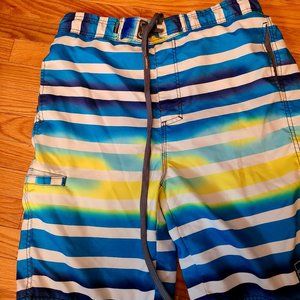 RPZN Swim Shorts